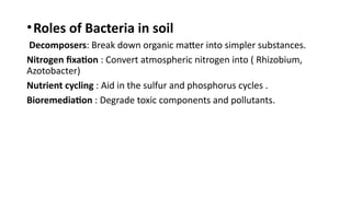 •Roles of Bacteria in soil
Decomposers: Break down organic matter into simpler substances.
Nitrogen fixation : Convert atmospheric nitrogen into ( Rhizobium,
Azotobacter)
Nutrient cycling : Aid in the sulfur and phosphorus cycles .
Bioremediation : Degrade toxic components and pollutants.
 
