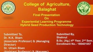 College of Agriculture,
Balaghat
Final Presentation
On
Experiential Learning Programme
Hybrid Seed Production Technology
Submitted To,
Dr. N.K. Bisen
(Associate Professor) & (Managing
Director)
Dr. Uttam Bisen
Submitted By,
Shahnul
B.Sc. (Ag.) 4th Year, 2nd Sem.
Enrollment No.- 180401057
 
