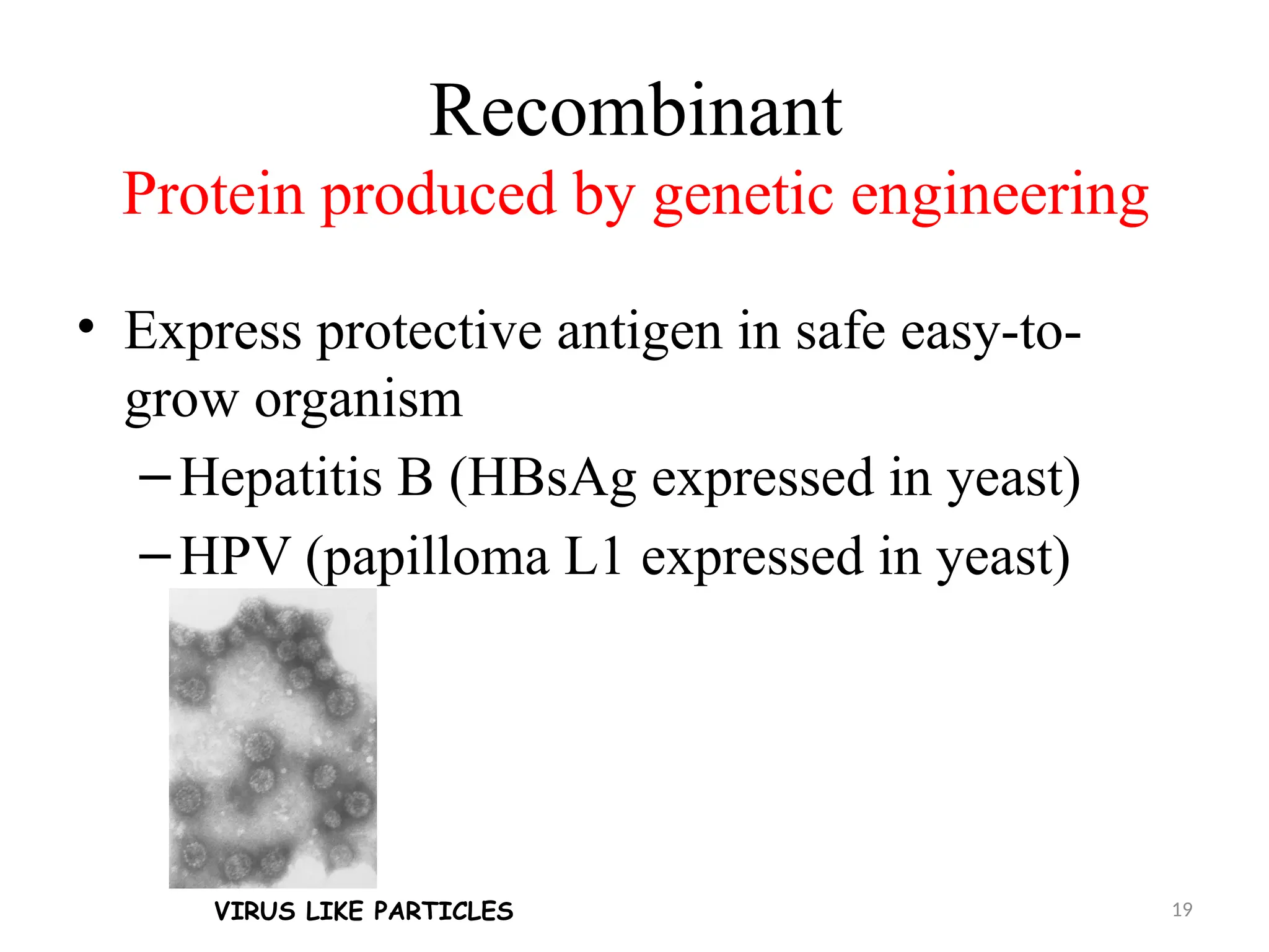 19
Recombinant
Protein produced by genetic engineering
• Express protective antigen in safe easy-to-
grow organism
–Hepatitis B (HBsAg expressed in yeast)
–HPV (papilloma L1 expressed in yeast)
VIRUS LIKE PARTICLES
 