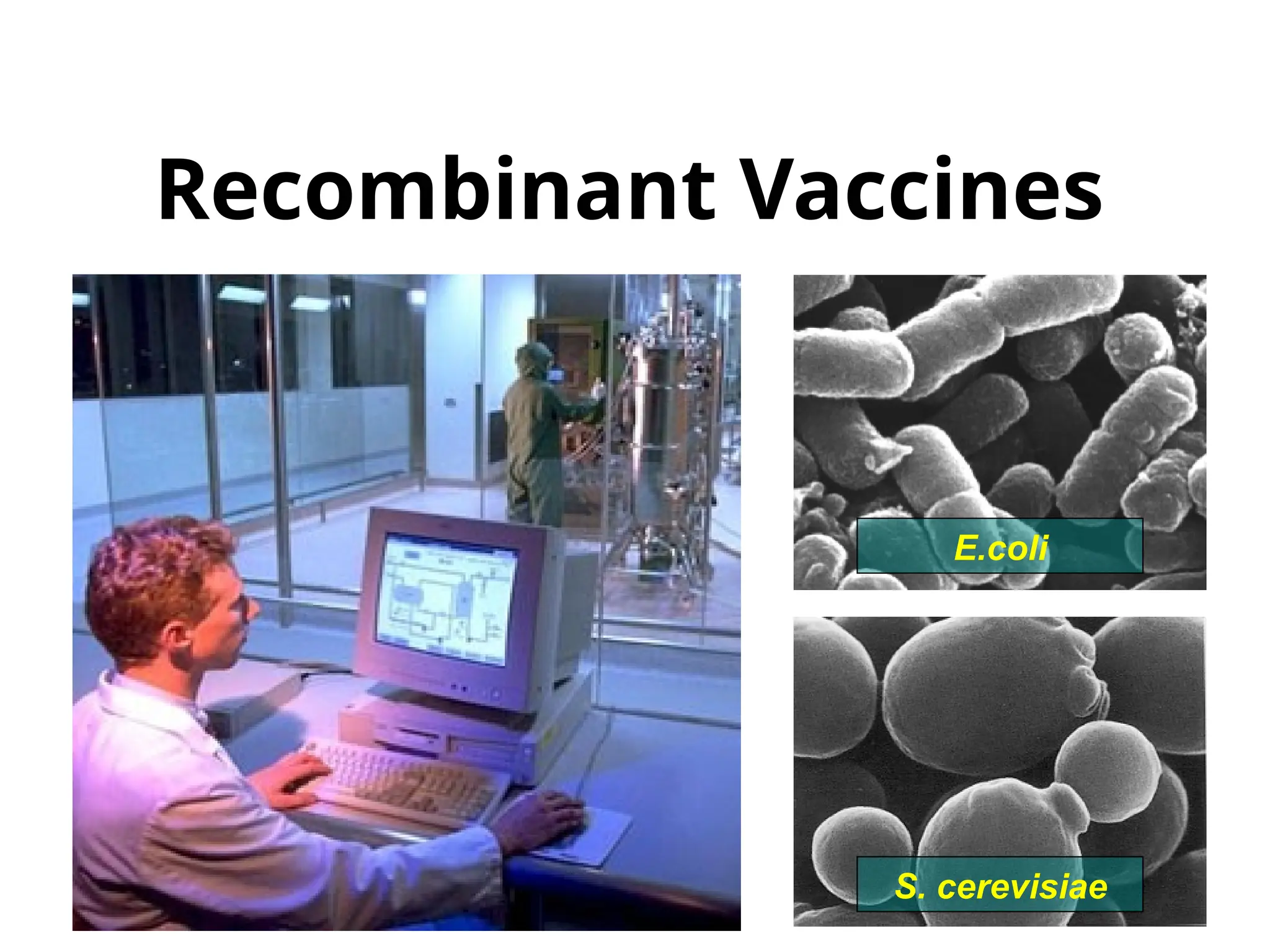 21
Recombinant Vaccines
S. cerevisiae
E.coli
 