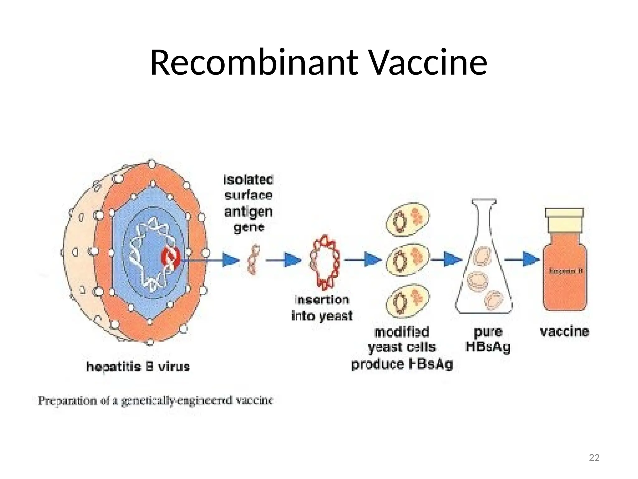 22
Recombinant Vaccine
 