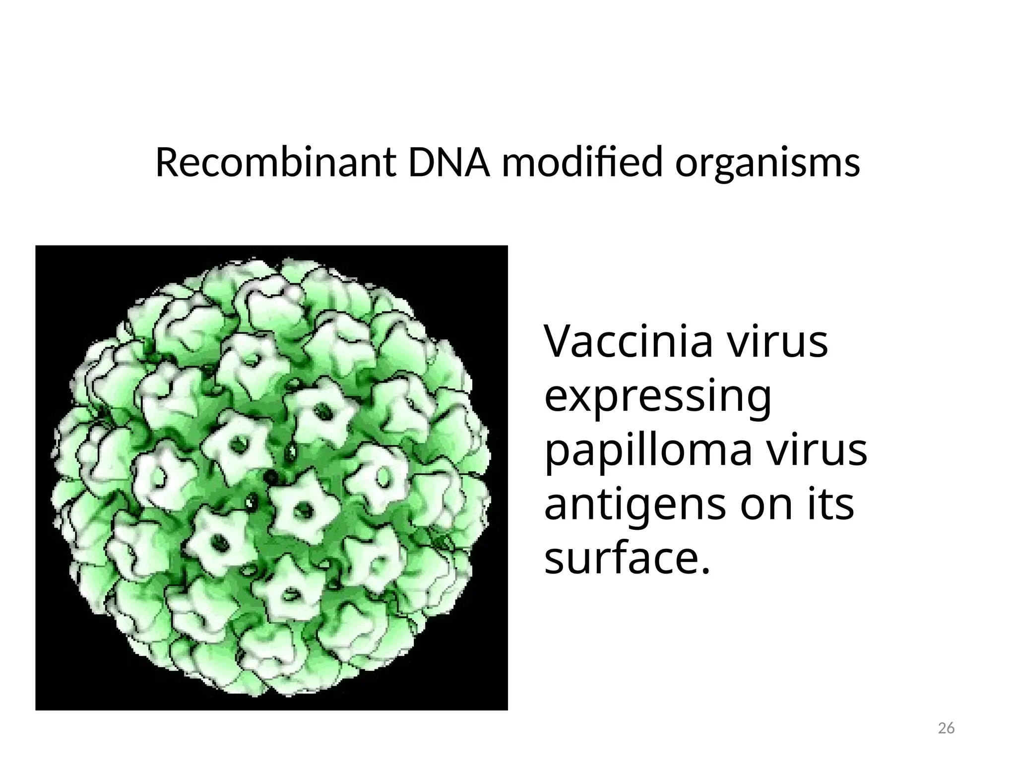 26
Recombinant DNA modified organisms
Vaccinia virus
expressing
papilloma virus
antigens on its
surface.
 