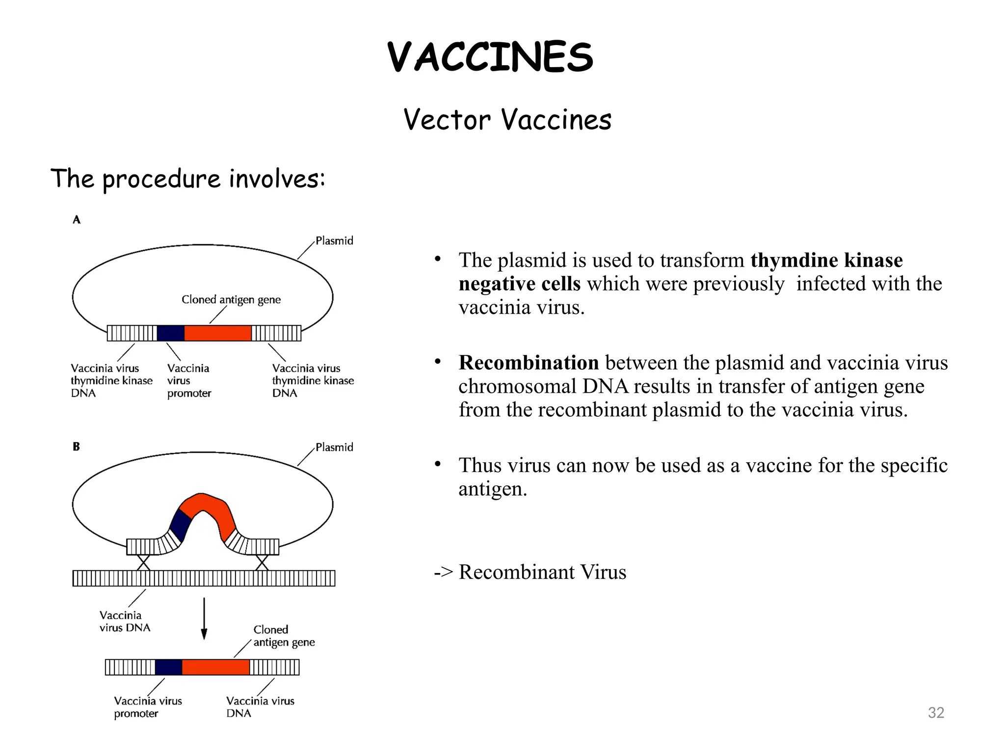 Vector Vaccines
VACCINES
The procedure involves:
• The plasmid is used to transform thymdine kinase
negative cells which were previously infected with the
vaccinia virus.
• Recombination between the plasmid and vaccinia virus
chromosomal DNA results in transfer of antigen gene
from the recombinant plasmid to the vaccinia virus.
• Thus virus can now be used as a vaccine for the specific
antigen.
-> Recombinant Virus
32
 