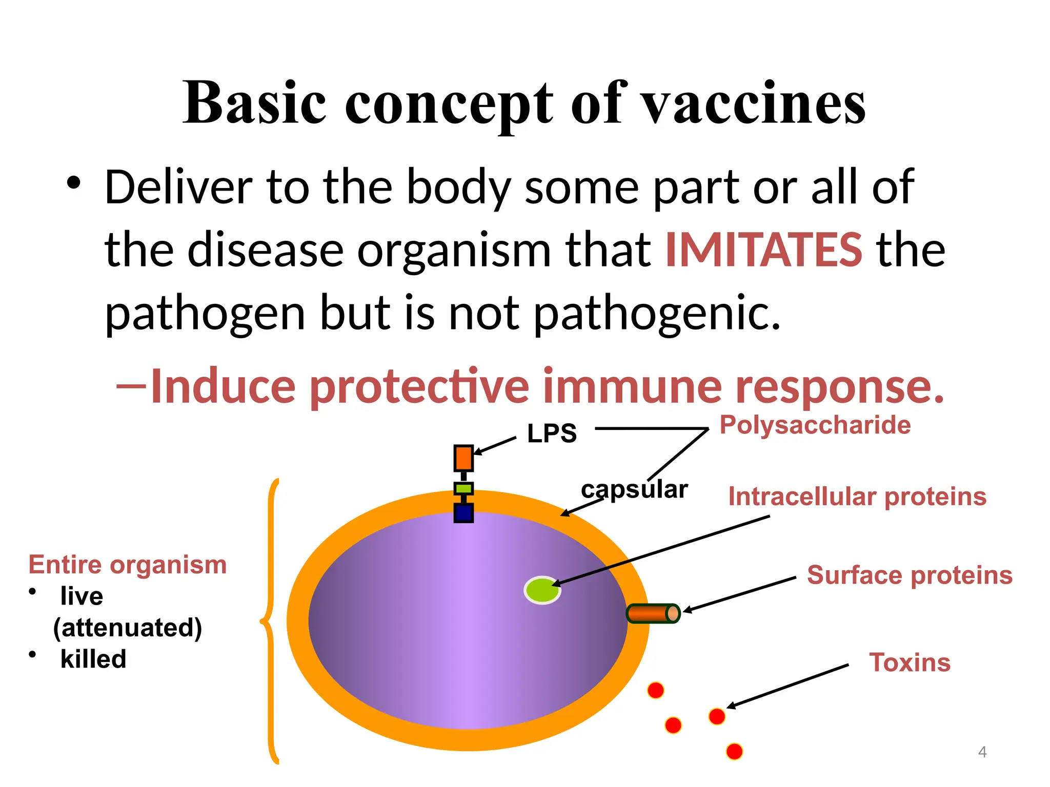 4
Basic concept of vaccines
• Deliver to the body some part or all of
the disease organism that IMITATES the
pathogen but is not pathogenic.
–Induce protective immune response.
Polysaccharide
Surface proteins
Intracellular proteins
Toxins
Entire organism
• live
(attenuated)
• killed
LPS
capsular
 