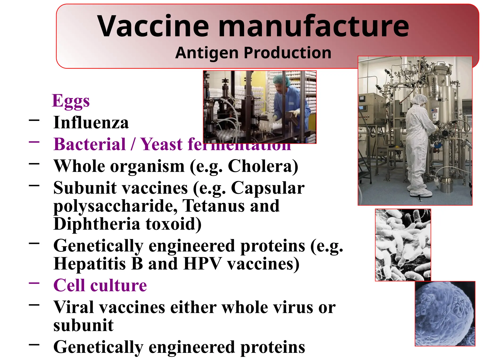 5
Vaccine manufacture
Antigen Production
Eggs
– Influenza
– Bacterial / Yeast fermentation
– Whole organism (e.g. Cholera)
– Subunit vaccines (e.g. Capsular
polysaccharide, Tetanus and
Diphtheria toxoid)
– Genetically engineered proteins (e.g.
Hepatitis B and HPV vaccines)
– Cell culture
– Viral vaccines either whole virus or
subunit
– Genetically engineered proteins
 