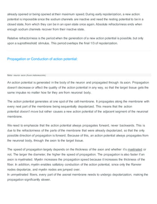 already opened or being opened at their maximum speed. During early repolarization, a new action
potential is impossible since the sodium channels are inactive and need the resting potential to be in a
closed state, from which they can be in an open state once again. Absolute refractoriness ends when
enough sodium channels recover from their inactive state.
Relative refractoriness is the period when the generation of a new action potential is possible, but only
upon a suprathreshold stimulus. This period overlaps the final 1/3 of repolarization.
Propagation or Conduction of action potential:
Motor neuron axon (Axon motoneuronis)
An action potential is generated in the body of the neuron and propagated through its axon. Propagation
doesn’t decrease or affect the quality of the action potential in any way, so that the target tissue gets the
same impulse no matter how far they are from neuronal body.
The action potential generates at one spot of the cell membrane. It propagates along the membrane with
every next part of the membrane being sequentially depolarized. This means that the action
potential doesn’t move but rather causes a new action potential of the adjacent segment of the neuronal
membrane.
We need to emphasize that the action potential always propagates forward, never backwards. This is
due to the refractoriness of the parts of the membrane that were already depolarized, so that the only
possible direction of propagation is forward. Because of this, an action potential always propagates from
the neuronal body, through the axon to the target tissue.
The speed of propagation largely depends on the thickness of the axon and whether it’s myelinated or
not. The larger the diameter, the higher the speed of propagation. The propagation is also faster if an
axon is myelinated. Myelin increases the propagation speed because it increases the thickness of the
fiber. In addition, myelin enables saltatory conduction of the action potential, since only the Ranvier
nodes depolarize, and myelin nodes are jumped over.
In unmyelinated fibers, every part of the axonal membrane needs to undergo depolarization, making the
propagation significantly slower.
 