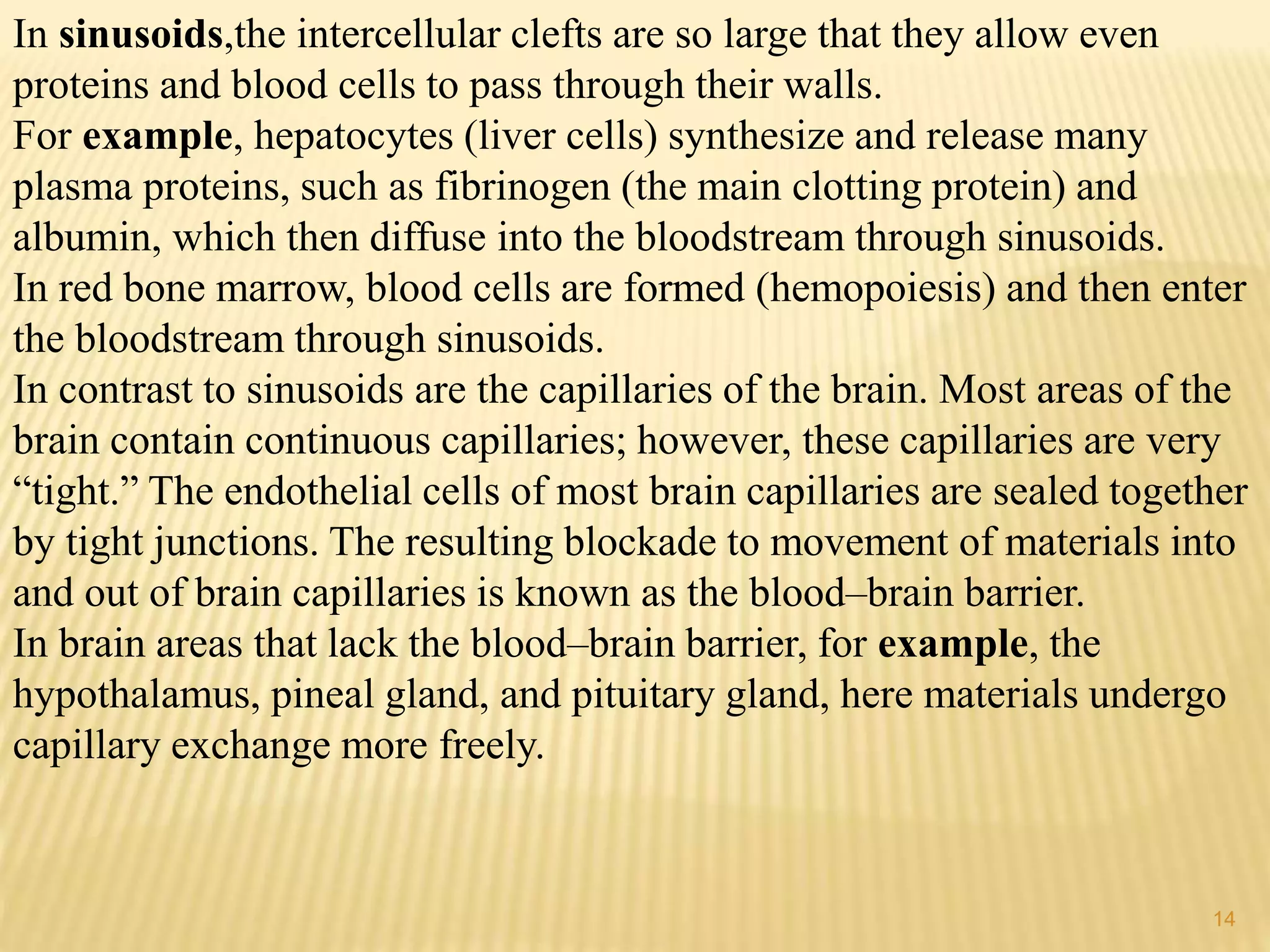 In sinusoids,the intercellular clefts are so large that they allow even
proteins and blood cells to pass through their walls.
For example, hepatocytes (liver cells) synthesize and release many
plasma proteins, such as fibrinogen (the main clotting protein) and
albumin, which then diffuse into the bloodstream through sinusoids.
In red bone marrow, blood cells are formed (hemopoiesis) and then enter
the bloodstream through sinusoids.
In contrast to sinusoids are the capillaries of the brain. Most areas of the
brain contain continuous capillaries; however, these capillaries are very
“tight.” The endothelial cells of most brain capillaries are sealed together
by tight junctions. The resulting blockade to movement of materials into
and out of brain capillaries is known as the blood–brain barrier.
In brain areas that lack the blood–brain barrier, for example, the
hypothalamus, pineal gland, and pituitary gland, here materials undergo
capillary exchange more freely.
14
 