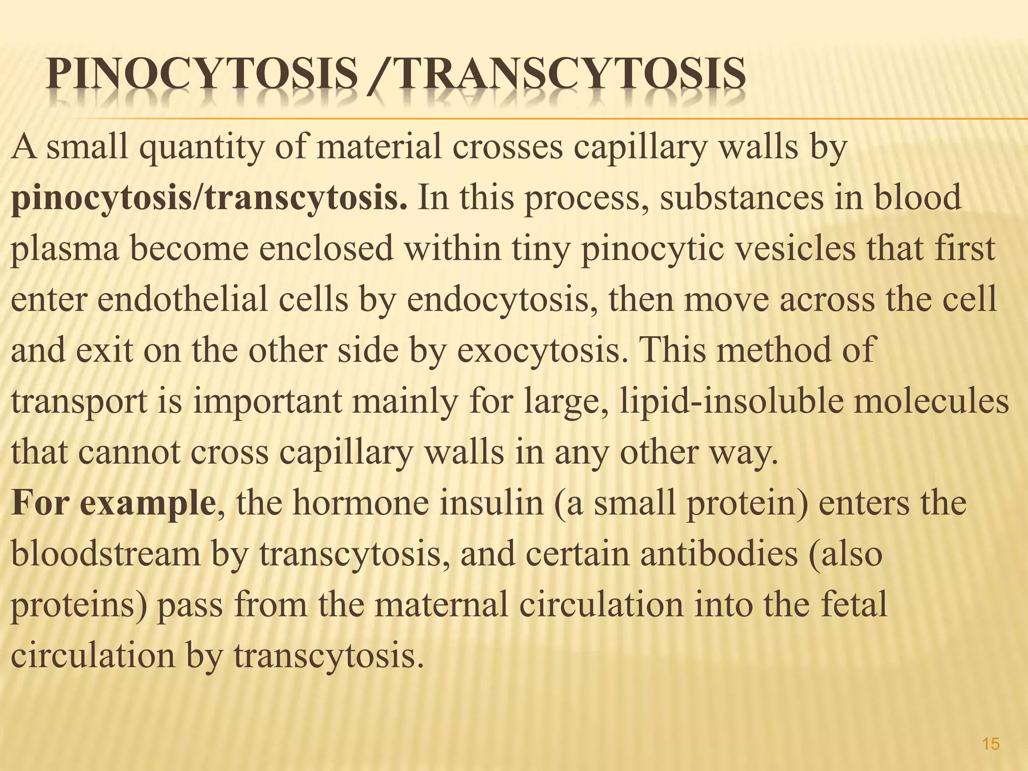 PINOCYTOSIS /TRANSCYTOSIS
A small quantity of material crosses capillary walls by
pinocytosis/transcytosis. In this process, substances in blood
plasma become enclosed within tiny pinocytic vesicles that first
enter endothelial cells by endocytosis, then move across the cell
and exit on the other side by exocytosis. This method of
transport is important mainly for large, lipid-insoluble molecules
that cannot cross capillary walls in any other way.
For example, the hormone insulin (a small protein) enters the
bloodstream by transcytosis, and certain antibodies (also
proteins) pass from the maternal circulation into the fetal
circulation by transcytosis.
15
 