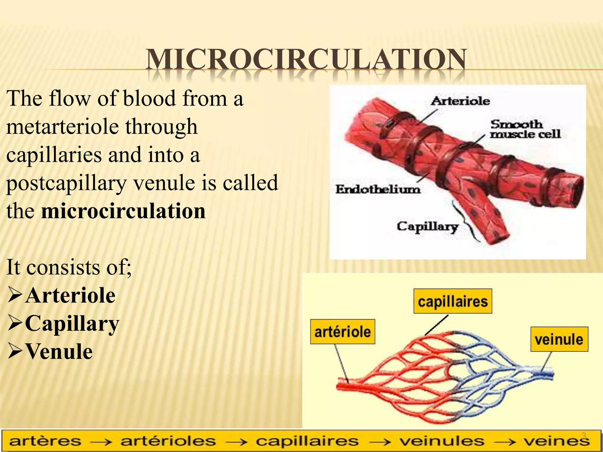 MICROCIRCULATION
The flow of blood from a
metarteriole through
capillaries and into a
postcapillary venule is called
the microcirculation
It consists of;
Arteriole
Capillary
Venule
3
 