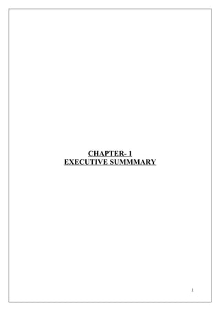 CHAPTER- 1
EXECUTIVE SUMMMARY
1
 