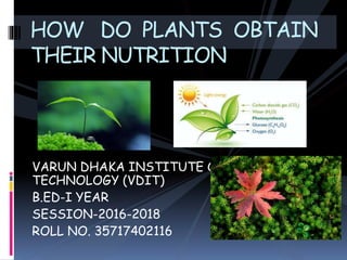 VARUN DHAKA INSTITUTE OF
TECHNOLOGY (VDIT)
B.ED-I YEAR
SESSION-2016-2018
ROLL NO. 35717402116
HOW DO PLANTS OBTAIN
THEIR NUTRITION
 