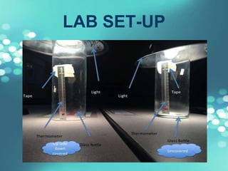 LAB SET-UP