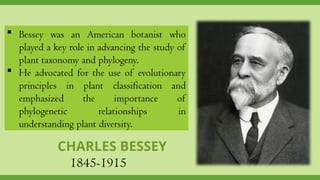 Bessey Classification System SYSYEMS OF PHYLOGENY AND CLASSIFICATIONS | PPTX