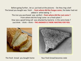 Before going further , let us just look at the pictures - Do they ring a bell
The bread you bought was fresh - from where did the fungus come, the baker had not
added it while baking !!
The iron you purchased was perfect – from where did the rust come ?
From where did the fungi come on a fresh plant ?
How was a good living cell was attacked by bacteria in the same body ?
Just think - think – think – THE ANSWER IS THERE WAITING FOR YOU

The fresh bread you bought home

Your fresh bread becomes stale

 