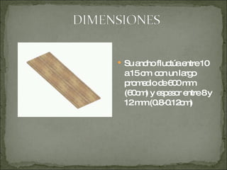 Su ancho fluctúa entre 10 a 15 cm  con un largo promedio de 600 mm (60cm) y espesor entre 8 y 12 mm.(0.8-0.12cm) 