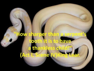 "How sharper than a serpent's
tooth it is to have
a thankless child!“
(Act I, Scene IV)King Lear.
 