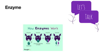 Enzyme
 