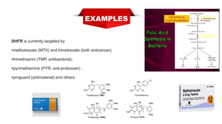 DHFR is currently targeted by


•methotrexate (MTX) and trimetrexate (both anticancer),


•trimethoprim (TMP, antibacterial),


•pyrimethamine (PYR, anti-protozoan) ,


•proguanil (antimalarial) and others
 