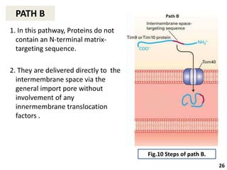 Non Specific Pathway PROTEIN SORTING THROUGH NON-SECRETORY PATHWAY | PPTX