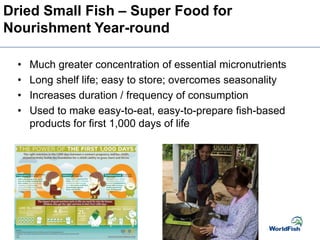 Dried Small Fish – Super Food for
Nourishment Year-round
• Much greater concentration of essential micronutrients
• Long shelf life; easy to store; overcomes seasonality
• Increases duration / frequency of consumption
• Used to make easy-to-eat, easy-to-prepare fish-based
products for first 1,000 days of life
 
