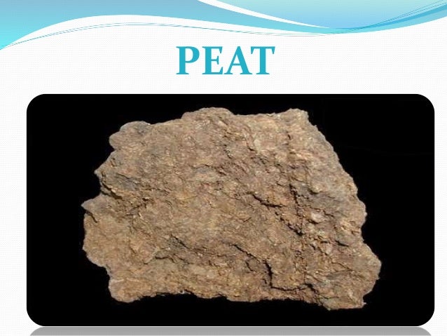 shale where does shale form