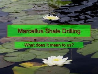 Marcellus Shale Drilling What does it mean to us? 