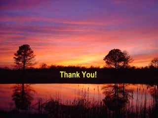 Thank You!

 