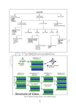 11
Fig. 7: Different clay minerals derived from silicates
Fig. 8: Structure of clays (source: www.soilsurvey.org)
 