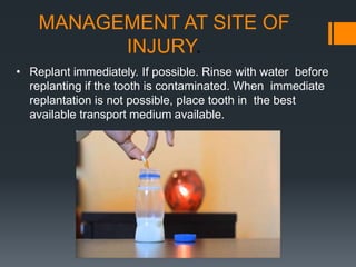 MANAGEMENT AT SITE OF
INJURY.
• Replant immediately. If possible. Rinse with water before
replanting if the tooth is contaminated. When immediate
replantation is not possible, place tooth in the best
available transport medium available.
 