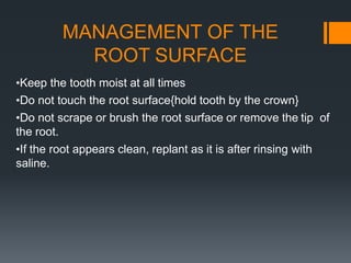 MANAGEMENT OF THE
ROOT SURFACE
•Keep the tooth moist at all times
•Do not touch the root surface{hold tooth by the crown}
•Do not scrape or brush the root surface or remove the tip of
the root.
•If the root appears clean, replant as it is after rinsing with
saline.
 