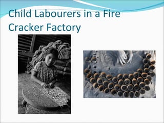 Child Labourers in a Fire
Cracker Factory
 