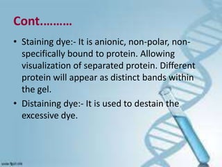 basic techniques of biotechnology | PPTX