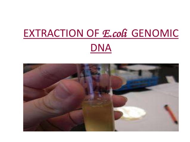 basic techniques of biotechnology