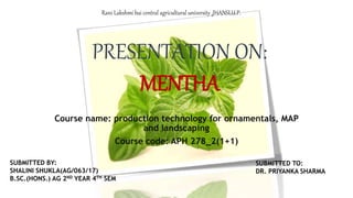 Rani Lakshmi bai central agricultural university ,JHANSI,U.P.
Course name: production technology for ornamentals, MAP
and landscaping
Course code: APH 278_2(1+1)
PRESENTATION ON:
MENTHA
SUBMITTED BY:
SHALINI SHUKLA(AG/063/17)
B.SC.(HONS.) AG 2ND YEAR 4TH SEM
SUBMITTED TO:
DR. PRIYANKA SHARMA
 