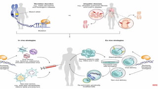 Genetically Engineered Stem Cells in Gene Therapy and.pptx