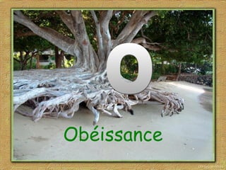 Obéissance