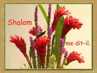 Shalom
me dit-il.