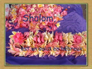 est un salut en hébreux,
Shalom,