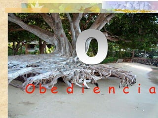 Obe d i e n c i a
 