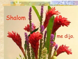 Shalom


         me dijo.
 