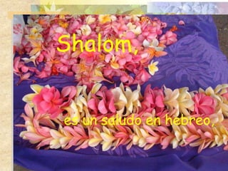 Shalom,


es un saludo en hebreo,
 