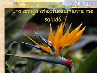 una amiga afectuosamente me saludó.