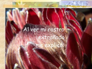 Al   ver mi rostro   extrañado  me explicó: 