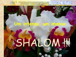 Um intenso,  um imenso SHALOM !!! 