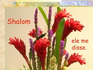 Shalom   ele me disse. 