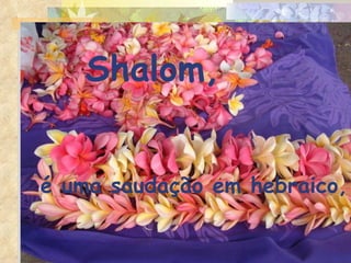 é uma saudação em hebraico, Shalom, 
