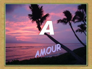 A AMOUR 
