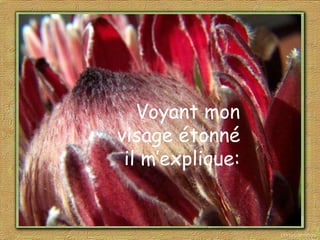 Voyant mon visage étonné  il m’explique: 