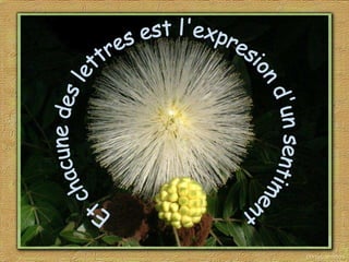 Et chacune des lettres est l'expresion d'un sentiment 