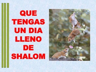 QUE
TENGAS
UN DIA
LLENO
DE
SHALOM
 